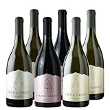 チリ ぎんの雫 3種6本飲み比べ 750ml シャルドネ・ピノノワール・ソーヴィニヨンブラン