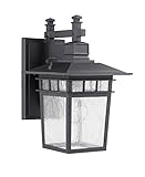 Chloe Lighting CH22010BK12-OD1 'Maxwall' Transitional 1-Light Black Outdoor Wall Sconce 12' Height [