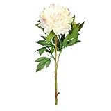 Better Crafts Everyday LongstemサテンPeonyスプレーx2クリームピンク35インチ( 12パック) ( 0dc-7297 – 29 – 030 )