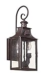 Troy Lighting Newton 17.5"H 2-Light Outdoor Wall Lantern - Old Bronze Finish with Clear Seeded Glass