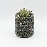 FLORASHOW 多肉植物　ミニ観葉　植木鉢　ガーデニング　各種天然宝石、瑪瑙、水晶、貝殻使用 防水、防腐、防虫、通気　呼吸できる鉢【6.5x9cm】 (インド瑪瑙)