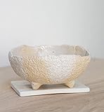 萬古焼丸鉢（白） 直径１１ｃｍ・焼締白受皿（１０．５ｃｍ）セット