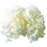 ヴェルディッシモ アジサイ プリザーブドフラワー ホワイト 約18g