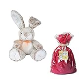 メモリアルギフト アニマル ウサギ ミンクプラッシュ ぬいぐるみ キャラメル 通常子供ラッピング