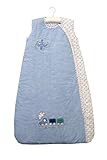 Slumbersafe Summer Baby Sleeping Bag 0.5 Tog - Planes and Trains 0-6 months/SMALL [並行輸入品]