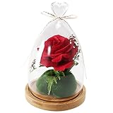 GTidea 造花 バラ 枯れないお花 プリザーブドフラワー ギフト ガラスドーム 結婚祝い 誕生日 記念日 プレゼント フラワー オブジェ 置物