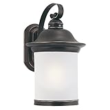 Sea Gull Lighting 89192BLE-71 Hermitage - One Light Outdoor Wall Sconce, Antique Bronze Finish with 