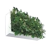 SHIBAFU3 White Frame 150×300