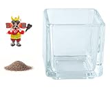 花市場直送便 ミニチュアガラス 武田信玄 & カラーサンド ブラウン & 植え込み用グラス ニューブロックS