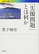 「尖閣問題」とは何か (岩波現代文庫)