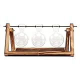 B Blesiya 木製スタンド付き　ガラス容器　水耕栽培 植物鉢　フラスコ型 花瓶　1個/3個用　贈り物 - 3個用