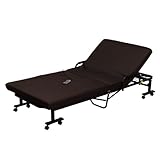 アイリスオーヤマ  折りたたみベッド エアリー 電動 リクライニング 高反発 シングル OTB-ARD