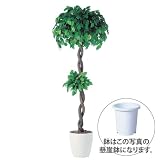 エフプランター 人工観葉植物-フィッカスベンジャミナダブル-200-9号鉢-懸崖鉢