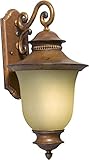 Forte Lighting 17001-01-41 Exterior Wall Light with Umber Linen Glass Shades, Rustic Sienna [並行輸入品]