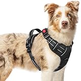 [最新型犬ハーネス]rabbitgoo 犬 ハーネス 犬用胴輪 小型犬/中型犬/大型犬ハーネス 引っ張り防止 サイズ調整可能 アタマを通さず 夜間反射材 抜けない 通気性 咳き込み防止 歩行補助ハーネス 老犬 介護用品 散歩 しつけ用 ソフト 抜けない 通気性 簡単着脱 おしゃれ 安全 しつけ用 訓練 歩行補助 散歩(ブラック M）