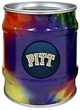 ピッツバーグPittパンサーズNCAA Tie Dye Tin Bank
