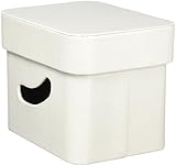 東洋ケース 収納ボックス ルコット スモール ふた付き ホワイト RCT-FBS-WH