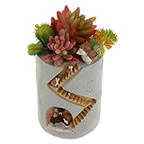 Non-brand 樹脂多肉植物プランターフラワーポットガーデンクラフト装飾ヘッジホッグデザイン