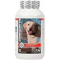 Amazon | Nutramax Cosequin DS PLUS MSM Chewable Tablets 180 Count