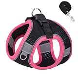 grooblue 犬 ハーネス リードセット 小型犬 中型犬 猫用 通気メッシュ 抜けない 軽量 着脱簡単 引っ張り防止 反射付き 調整可 散歩用 かわいい おしゃれ (ブラック＆ピンク S)