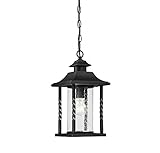 Savoy House 5-1232-BK Dorado Hanging Lantern by Savoy House