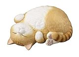 【3.ごろにゃん 茶トラ】もっちりころりん♪ ねこ