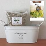 ディルの栽培セット/標準セット（液体肥料なし）プランターホワイト仕様