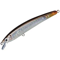 Amazon.co.jp: スミス(SMITH LTD) ミノー パニッシュ 85SP 85mm