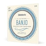 D'Addario ダダリオ バンジョー弦 フォスファー Light 5弦 .009-.020 EJ69 【国内正規品】