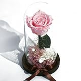 Makefuture プリザーブドフラワー ギフト ダイヤモンドローズ プリンセスフルール プロポーズ 一輪 薔薇 (フェミニンピンク)