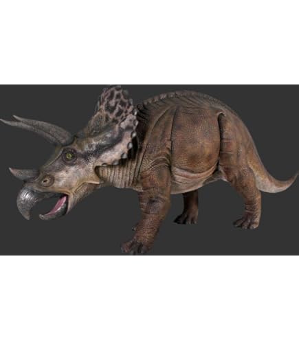 【等身大！】巨大イーブイ フィギュア ⭐︎ 検索結果]-amiami.jp-あみあみオンライン本店-