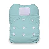 Thirsties All-in-One Hook and Loop Diapers, Aqua, One Size by Thirsties