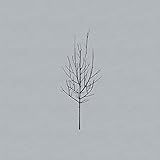 �����X�E�A���h�E�V�N�V�Y