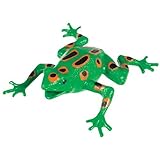 Toysmith Frog Squishimals Toy [並行輸入品]
