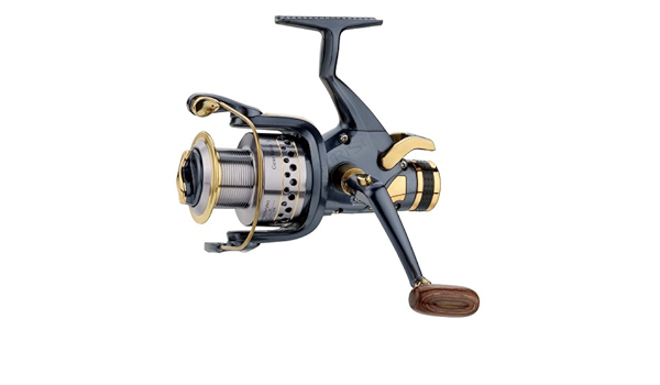 人気商品 特別価格sougayilang 鯉釣りリール 100好評販売中 Heirloomedblog Com