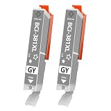 キャノン用BCI-381GYインク BCI-381XLGY互換 インクカートリッジ グレー 大容量 2本セット 残量表示付き 対応機種：PIXUS TS8230 / TS8130 /TS8330/ TS6230 / TS6130 / TS6330/ TR9530 / TR8530 / TR7530/TS7330/TR703