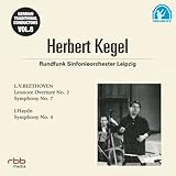 �`���I�ȃh�C�c�̎w���҂��� 8