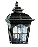 Trans Globe Lighting 5429-1 AR 16-Inch 2-Light Outdoor Small Wall Pocket Lantern, Antique Rust [並行輸入