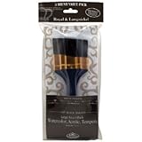 Royal & Langnickel RSET-9356 Angular Black Taklon Brush Set