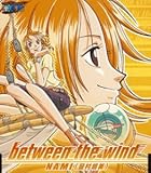 ONE PIECE ���̓�