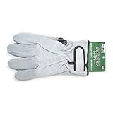 コーナンオリジナル 牛床革手袋レンジャー M HY04-1698 M