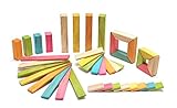 40 Piece Tegu Explorer Magnetic Wooden Block Set Tints [並行輸入品]