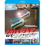 �X�J�C���C��GT-R�h�L�������^���[