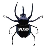 Saosin