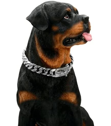 Amazon | 金の犬の鎖の首輪の頑丈なキューバの鎖の首輪ジルコニアの