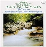 �܂�*�s�A�m�܏d�t�ȃC����