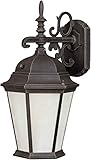 Forte Lighting 17015-01-28 Exterior Wall Light with Frosted Seeded Glass Shades, Painted Rust [並行輸入品