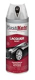 PlastiKote T-5 Clear Lacquer Paint - 12 Oz. [並行輸入品]