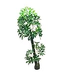 My Vision 観葉植物 造花 リアルプラント10 大型 人工 部屋 リアル 会社 緑 おしゃれ インテリア フェイクグリーン MV-QX-E10-170