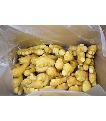 Amazon.co.jp: 食用 中国産 黄金生姜 10kg（近江生姜 黄色） : 食品